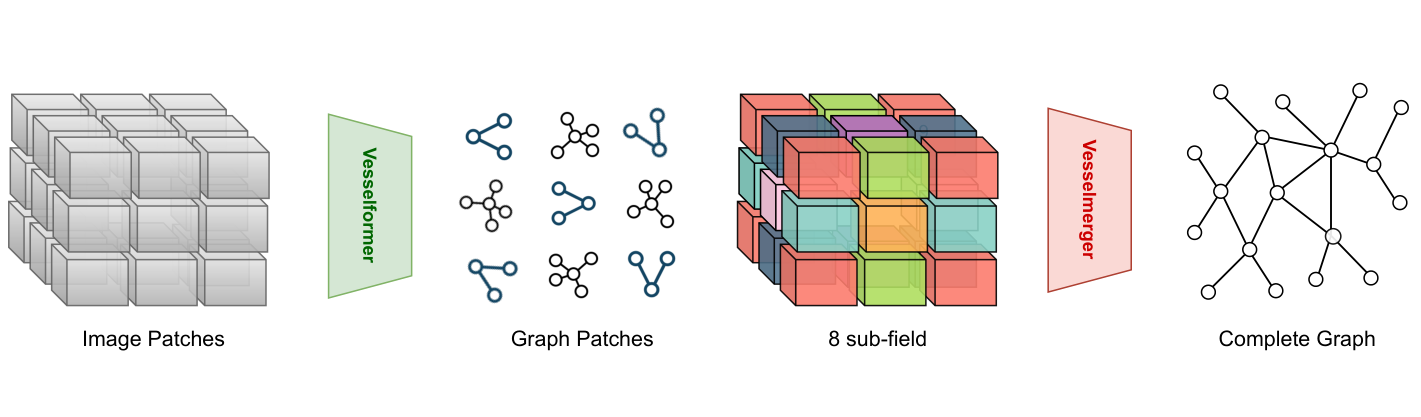 VesselFormer published Figure 2, patch-wise graph extraction and VesselMerger