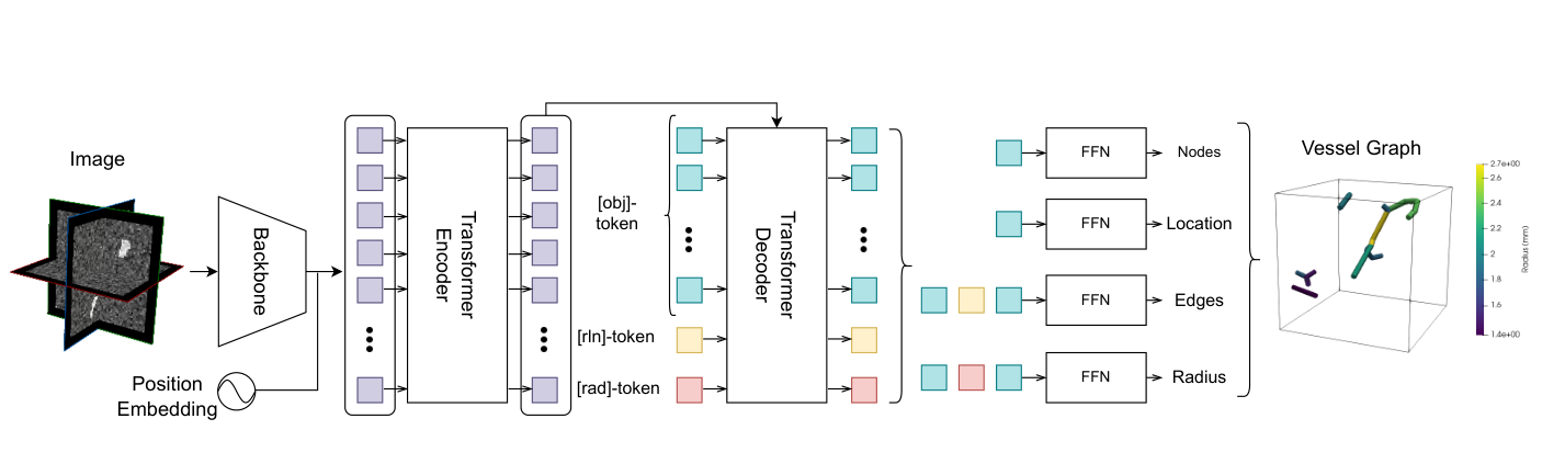 Published VesselFormer Figure 3 transformer architecture with object, relation and radius tokens